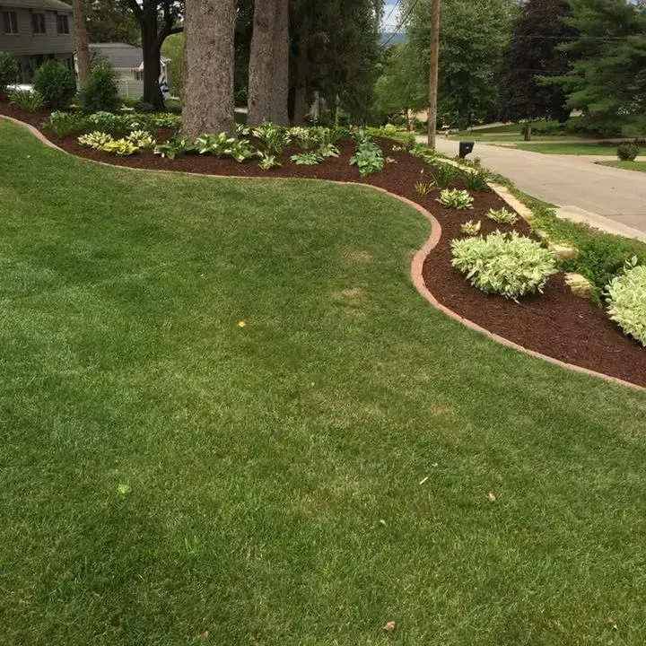 A manicured lawn with a curved landscape bed featuring brown mulch, various green shrubs, and two large tree trunks.