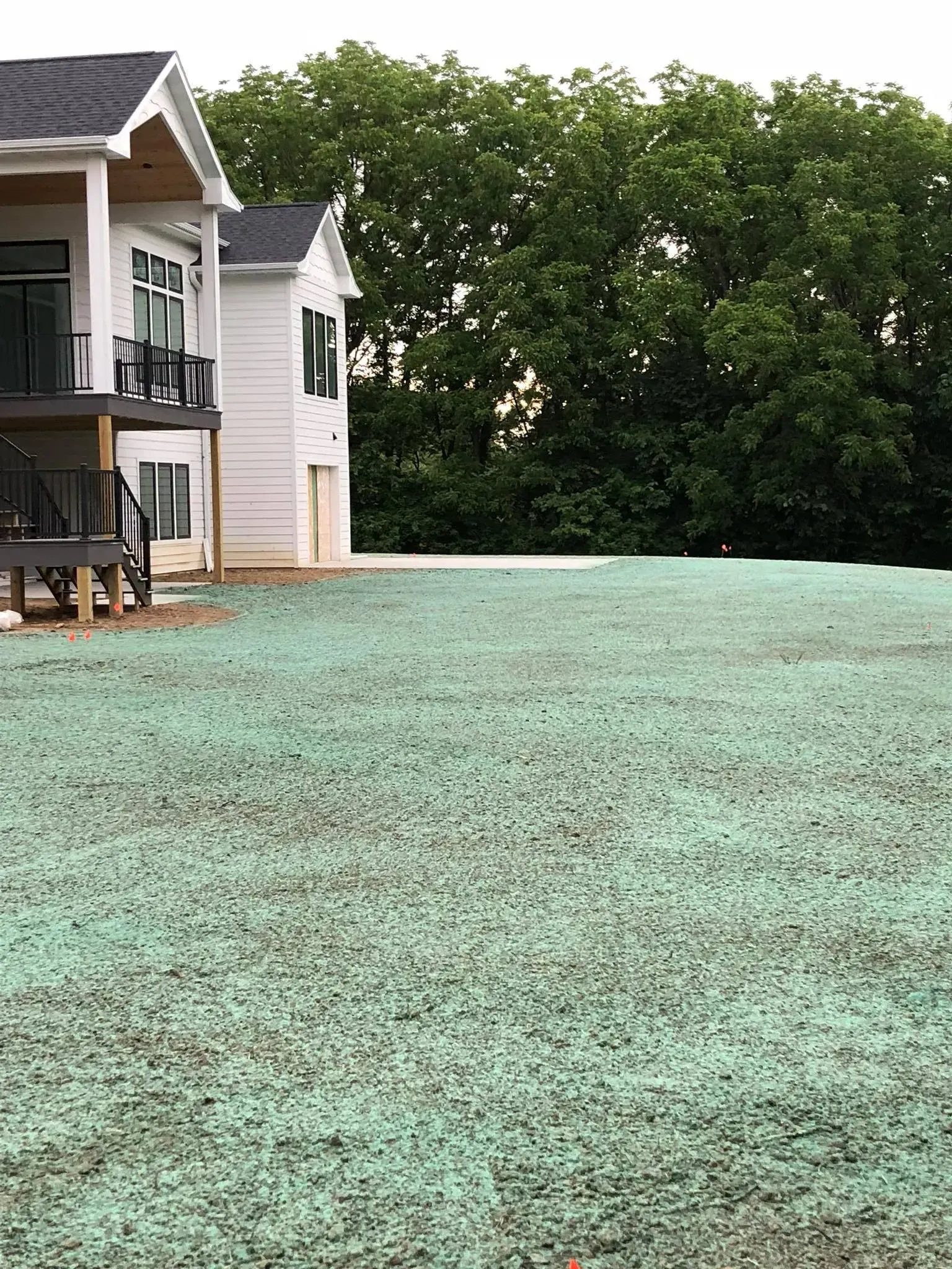 Hydroseeded yard with a green tint in front of a white two-story house next to a forest.