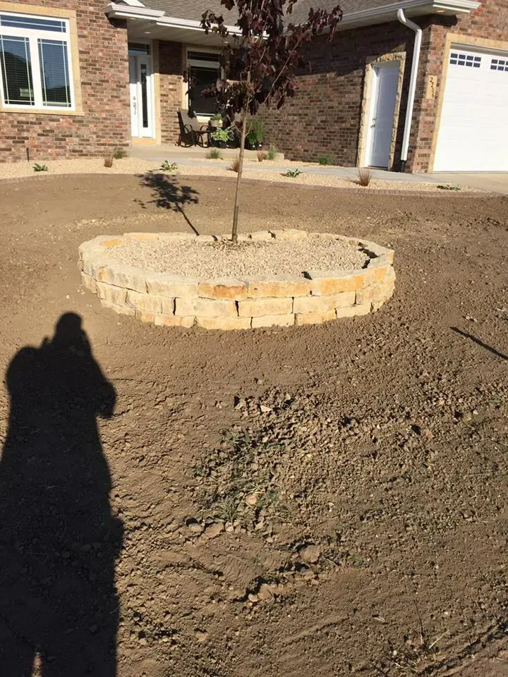 A young tree in a circular tan stone planter sits in a bare, dirt-covered front yard of a house.