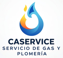logotipo CASERVICE