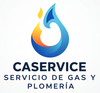 logotipo CASERVICE