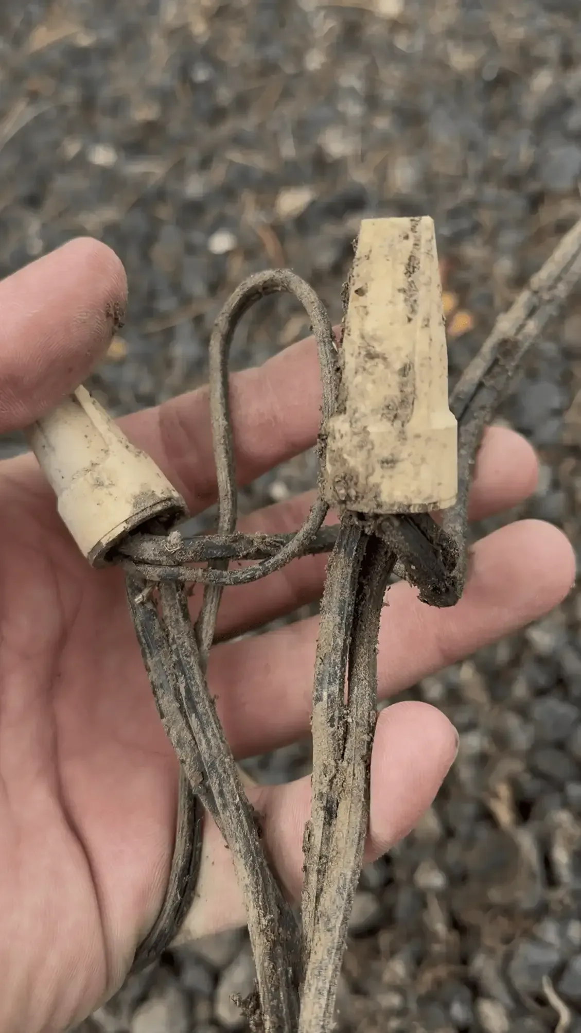 Hand holding two small wooden plugs tied with worn gray cord, outdoors on gravel Hand holding two small wooden plugs tied with worn gray cord, outdoors on gravel