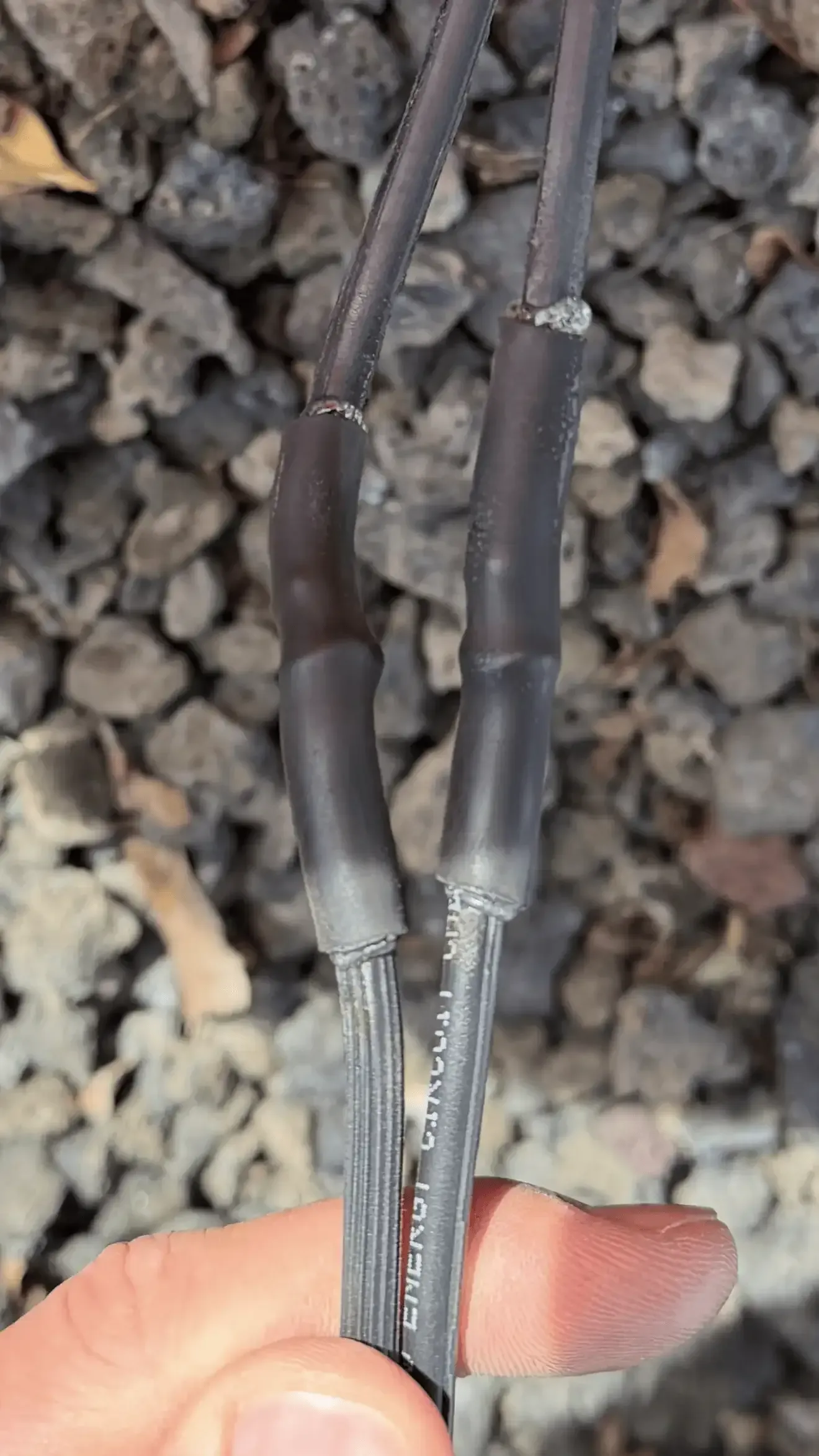 Close-up of black-handled pruning shears against a gravel background. Close-up of black-handled pruning shears against a gravel background.