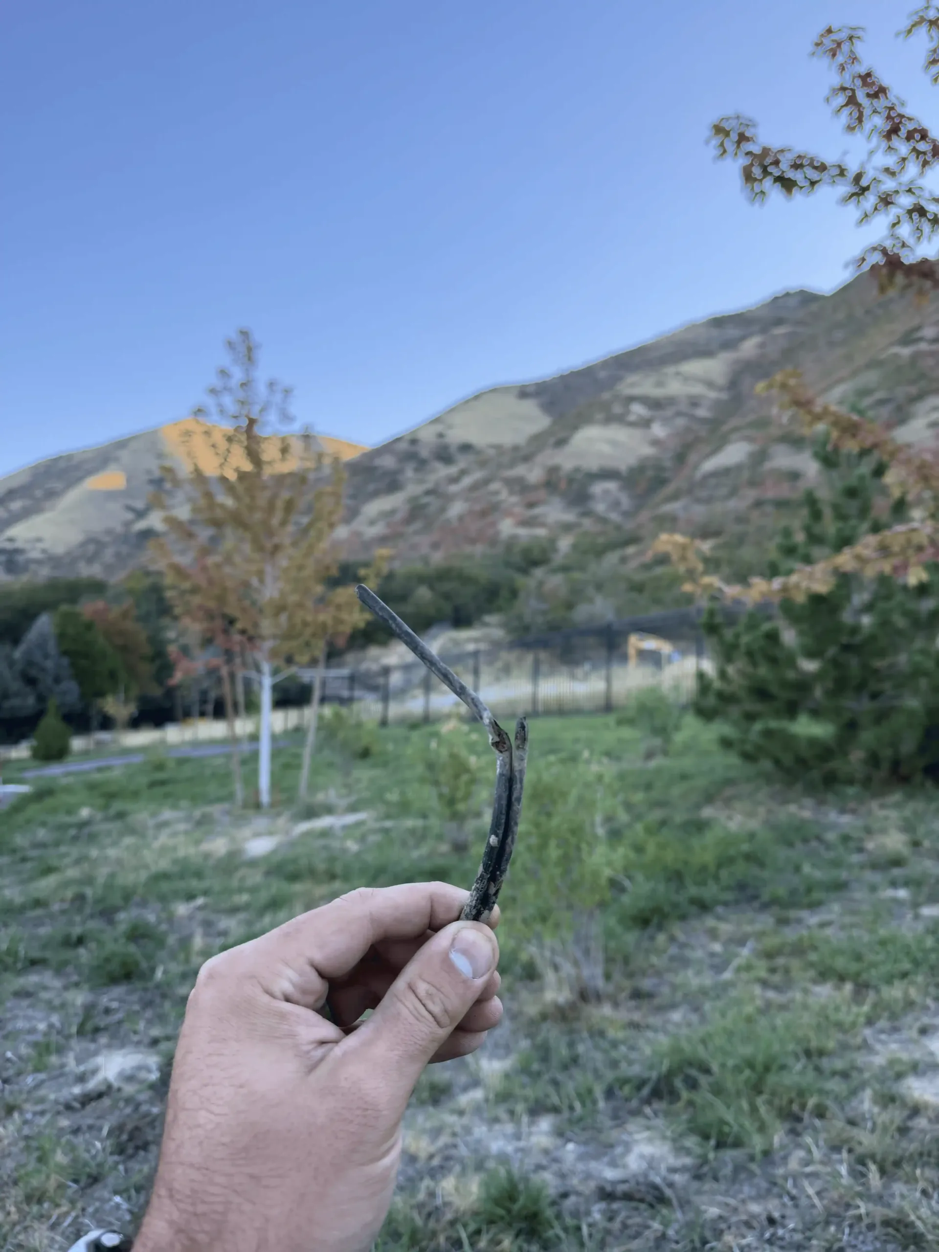 Hand holding a small charred twig in a grassy field with mountains and trees in the background Hand holding a small charred twig in a grassy field with mountains and trees in the background