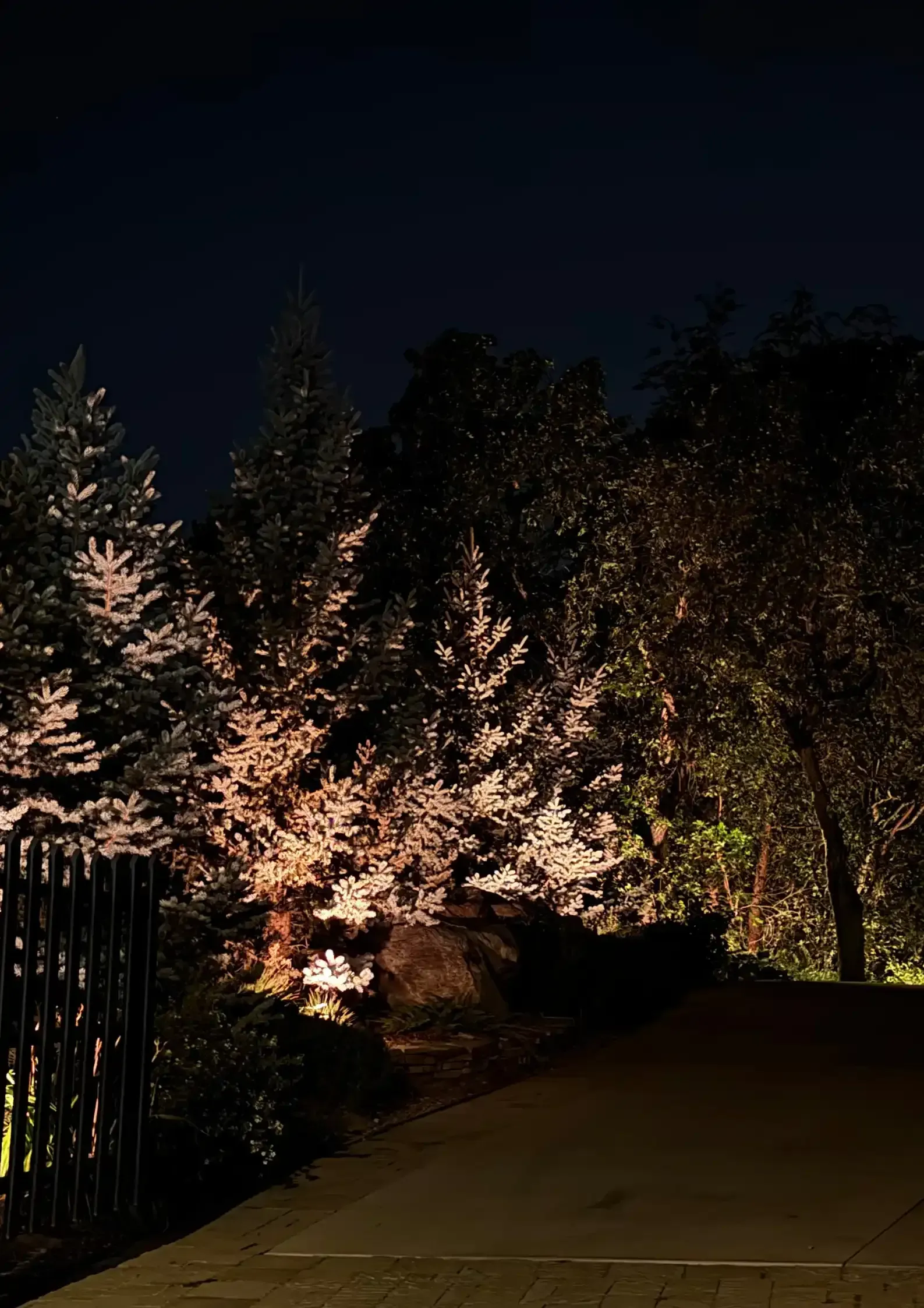 Tree-lined path at night, lit by warm lights against a dark sky Tree-lined path at night, lit by warm lights against a dark sky