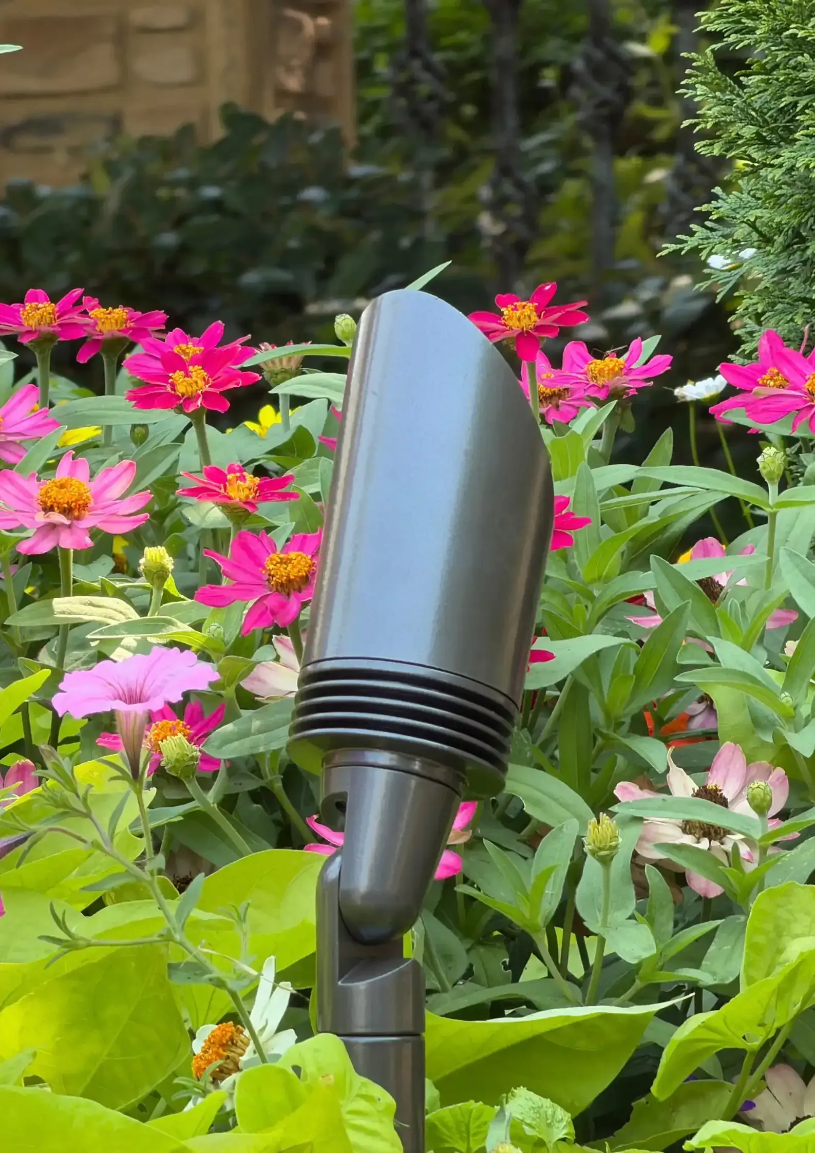 Gray garden spotlight among bright pink flowers and green foliage Gray garden spotlight among bright pink flowers and green foliage