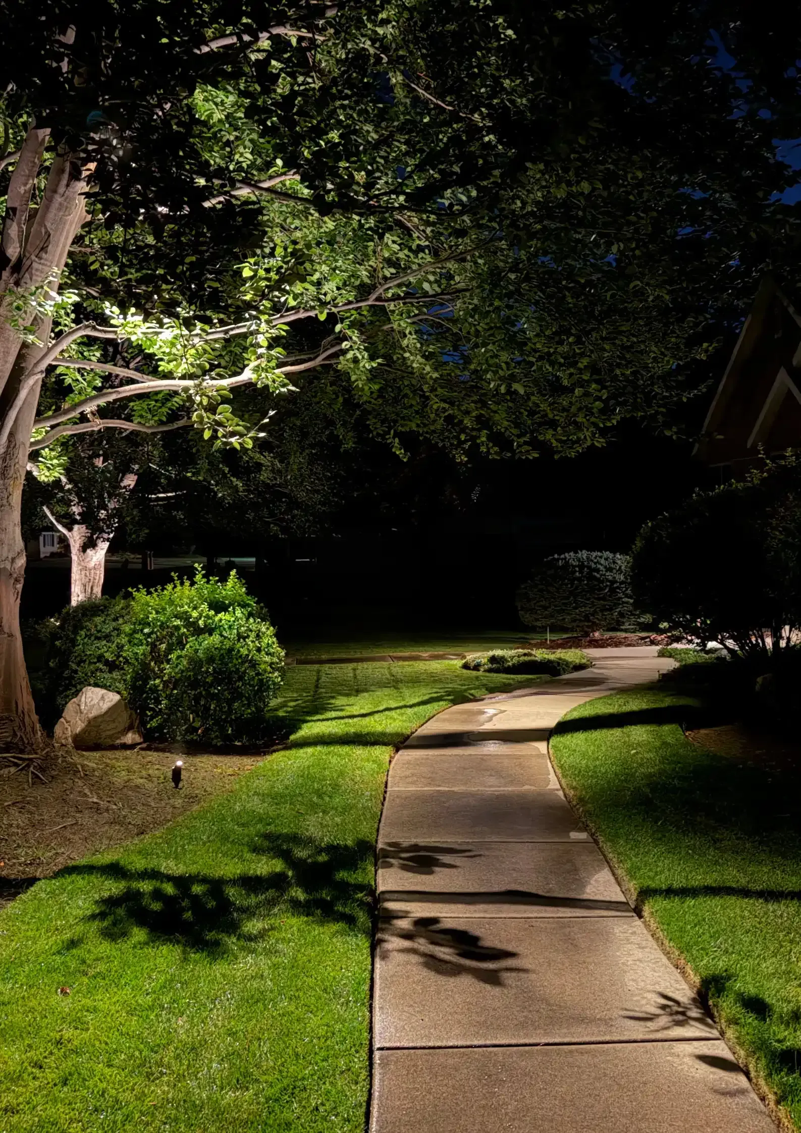 Dimly lit garden path winding through lush green grass and trees at night Dimly lit garden path winding through lush green grass and trees at night