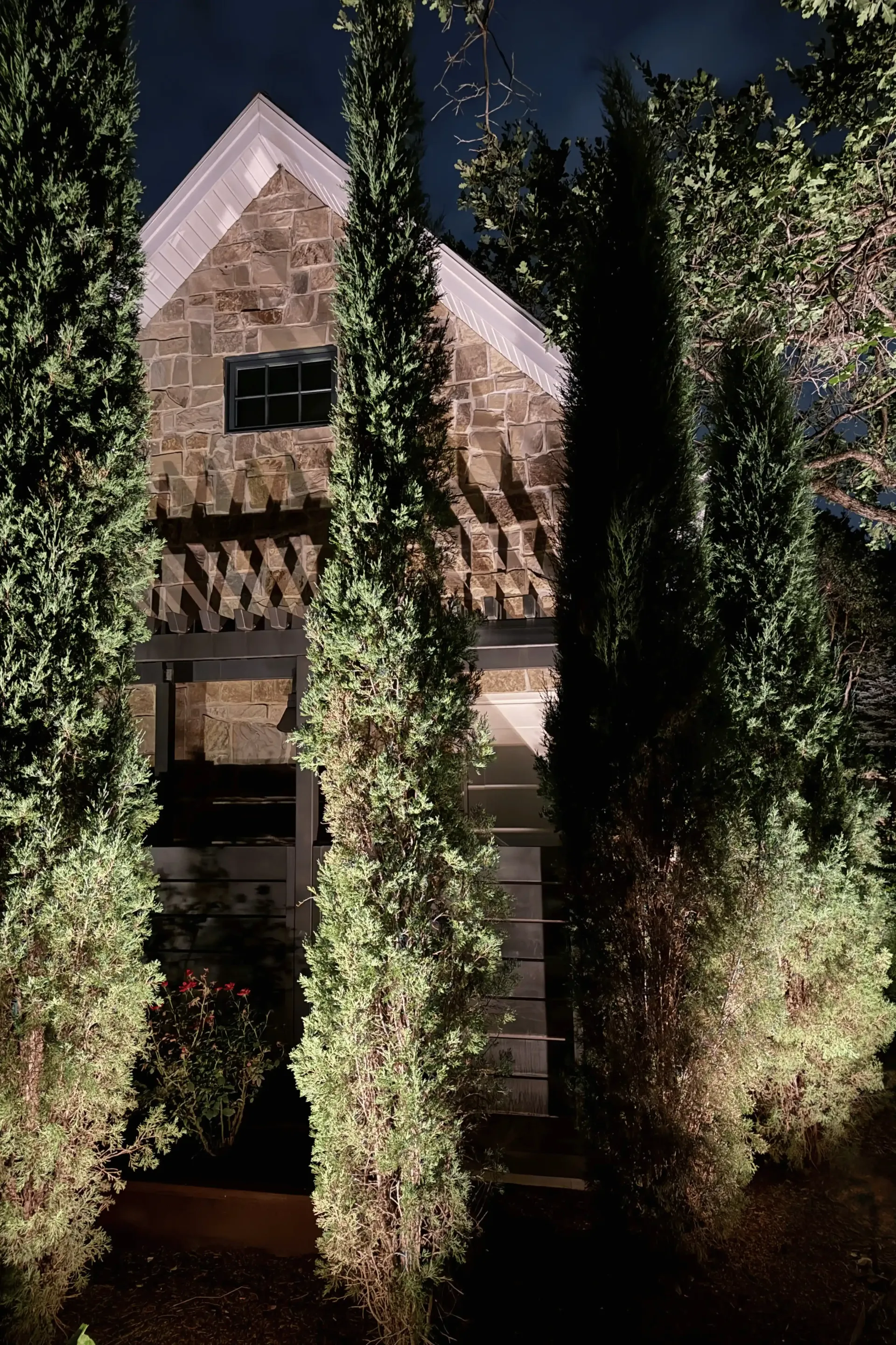 House facade covered in hanging green vines, lit at night House facade covered in hanging green vines, lit at night