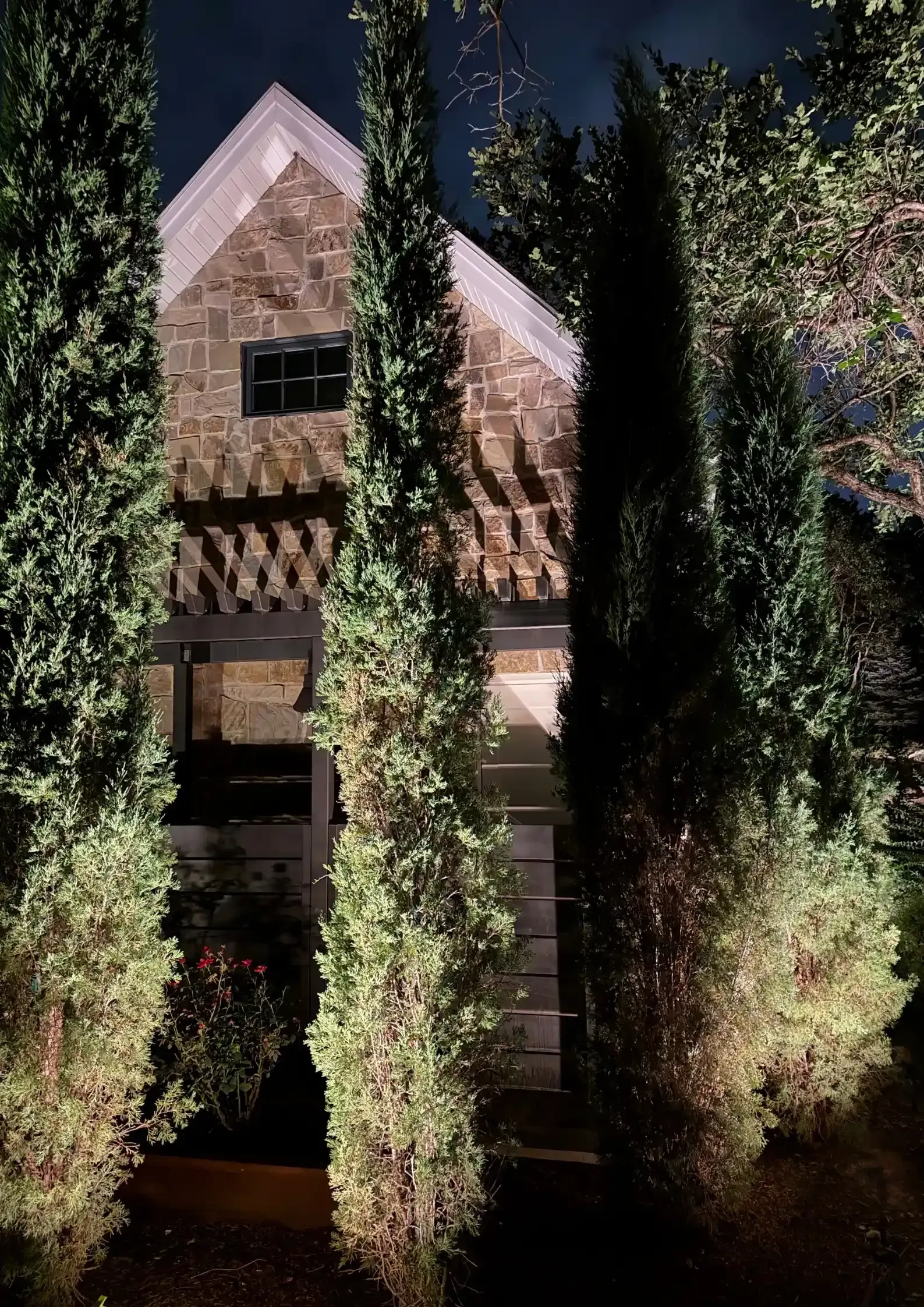 Night view of a small house facade with white trim, partially obscured by tall trees and shrubbery Night view of a small house facade with white trim, partially obscured by tall trees and shrubbery