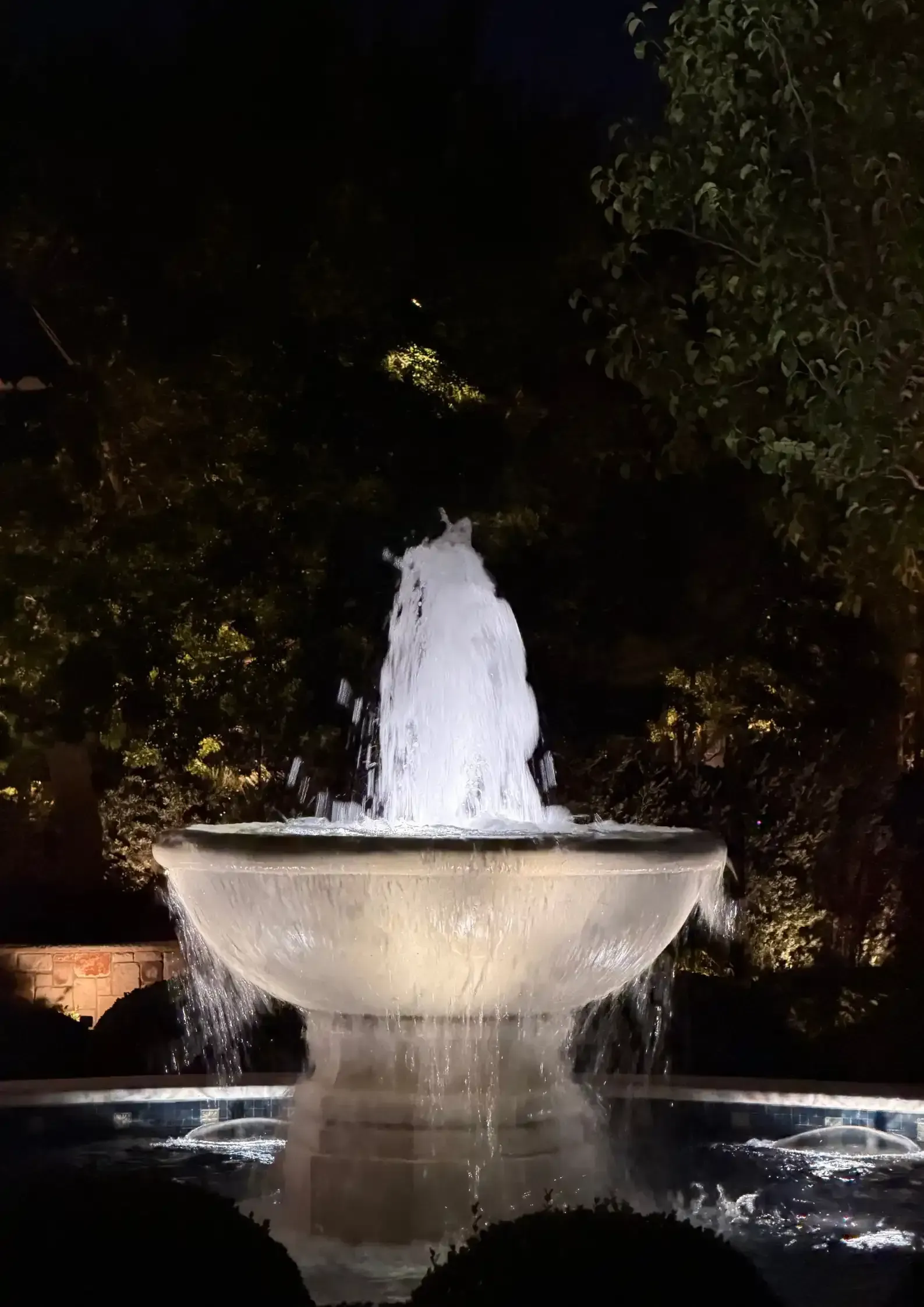 Lit fountain at night with water spraying from a bowl-shaped basin among dark trees Lit fountain at night with water spraying from a bowl-shaped basin among dark trees