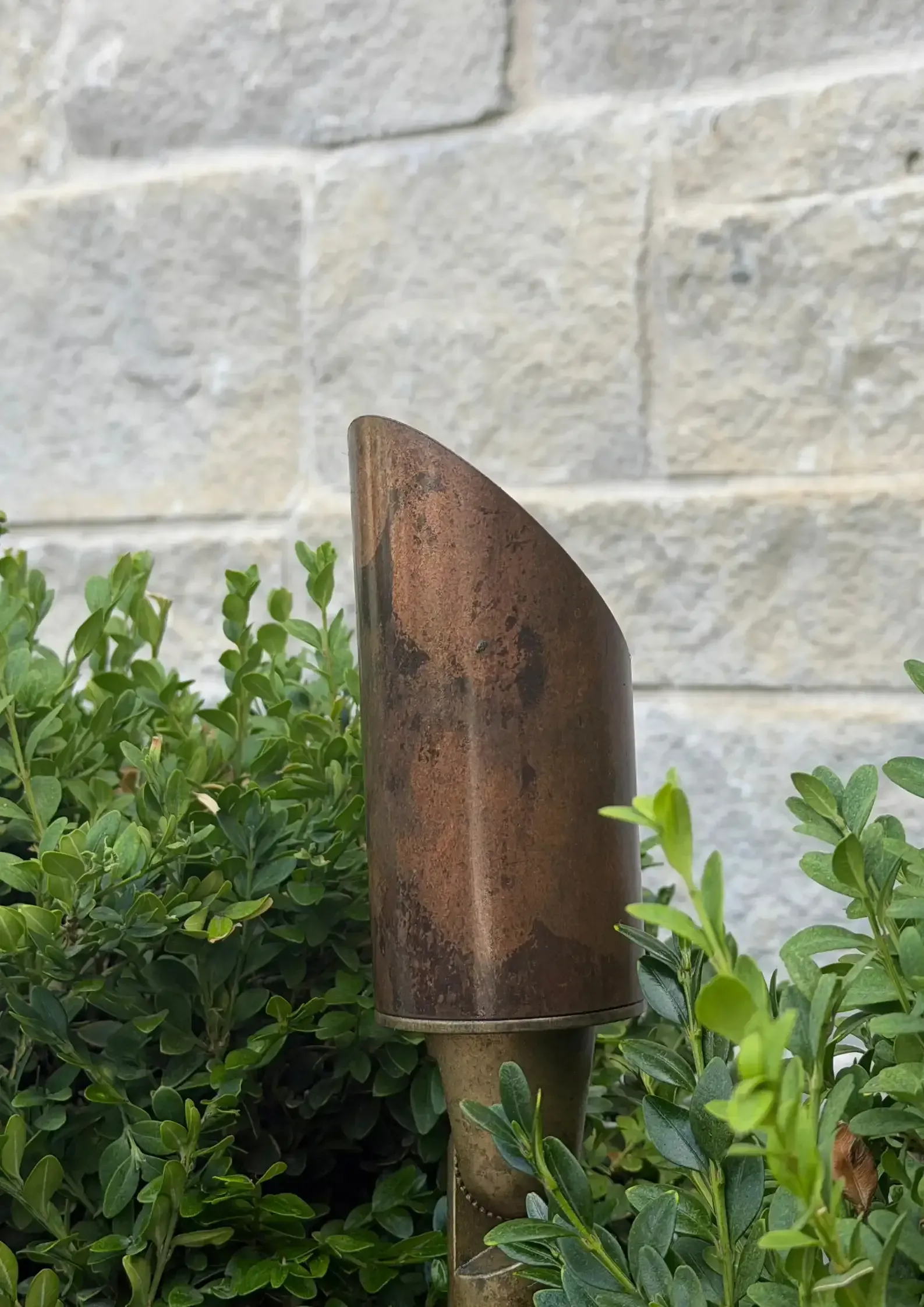 Rusty metal garden trowel standing beside green bushes against a stone wall Rusty metal garden trowel standing beside green bushes against a stone wall