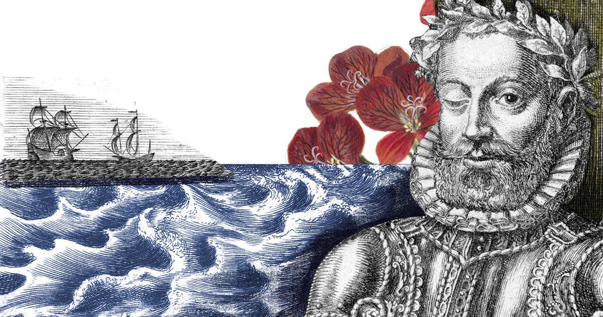 Desenho de Camões com navios e flores