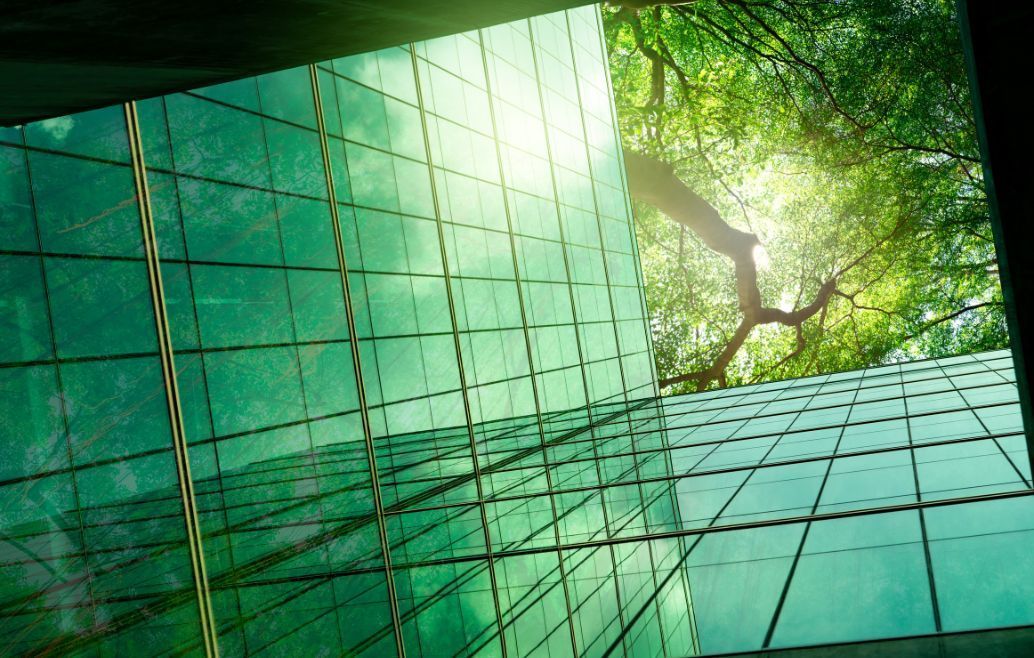 Green glass skyscraper with sunlight shining through trees.