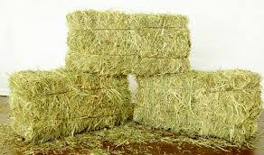 Image of baled alafalfa