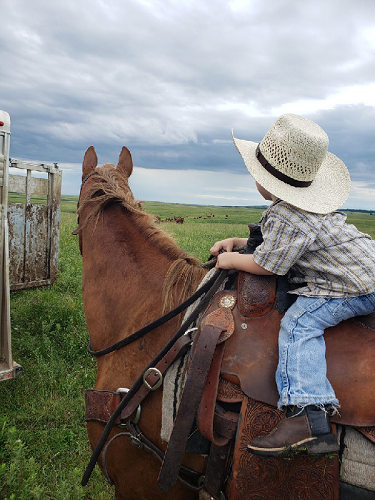 Image of young cowboy