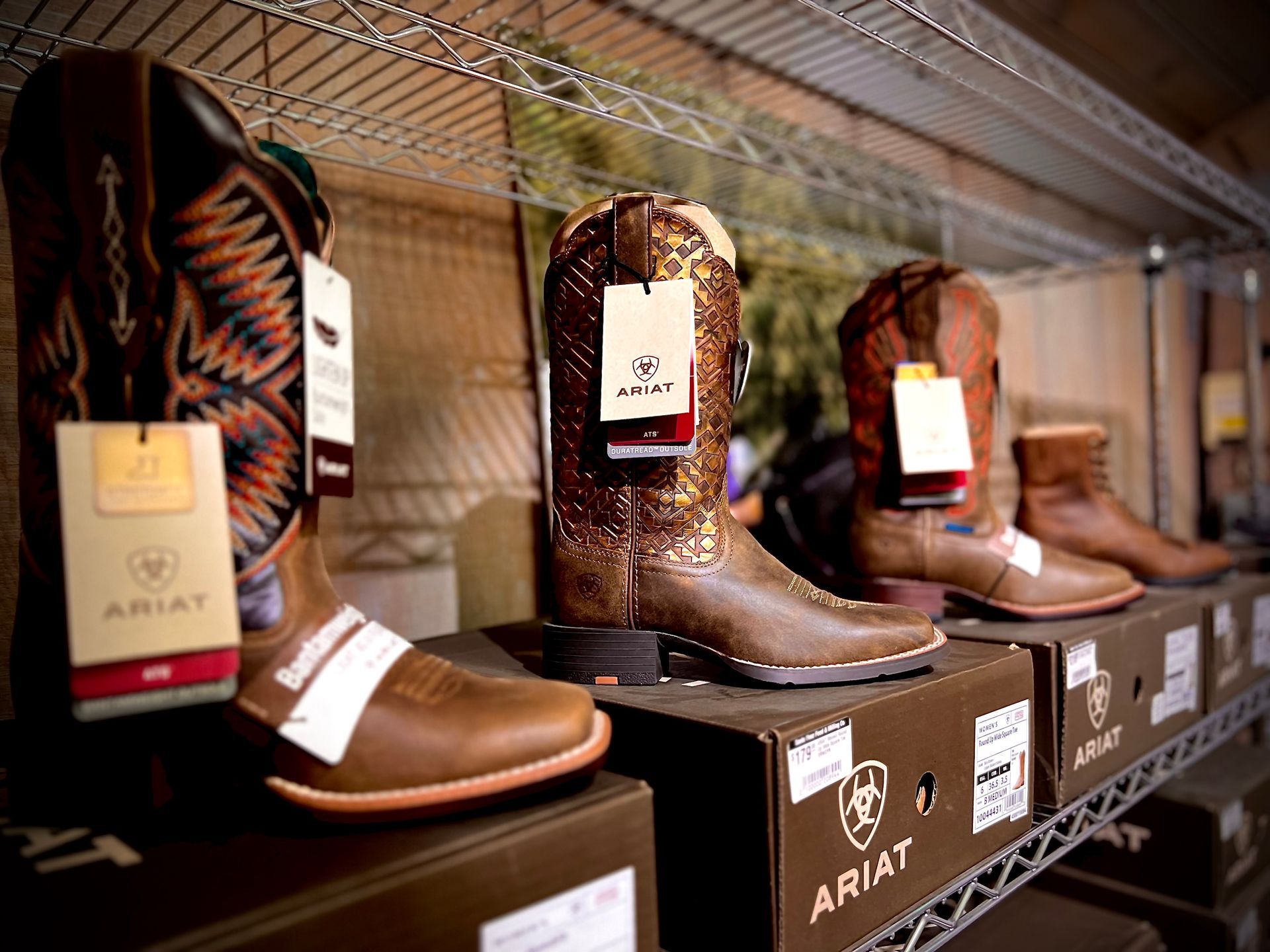 Image of Ariat Boots