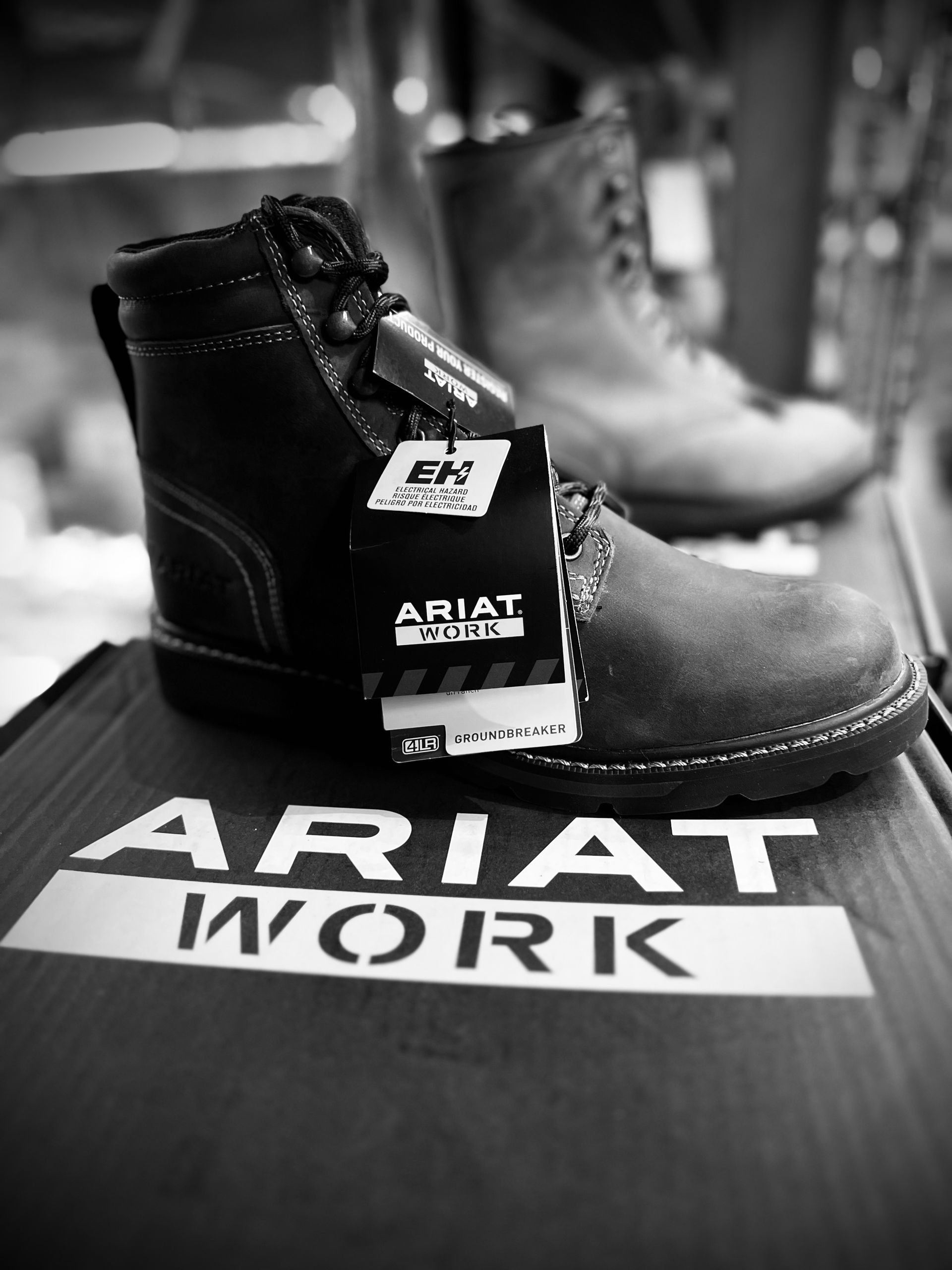 Image of Ariat Boots