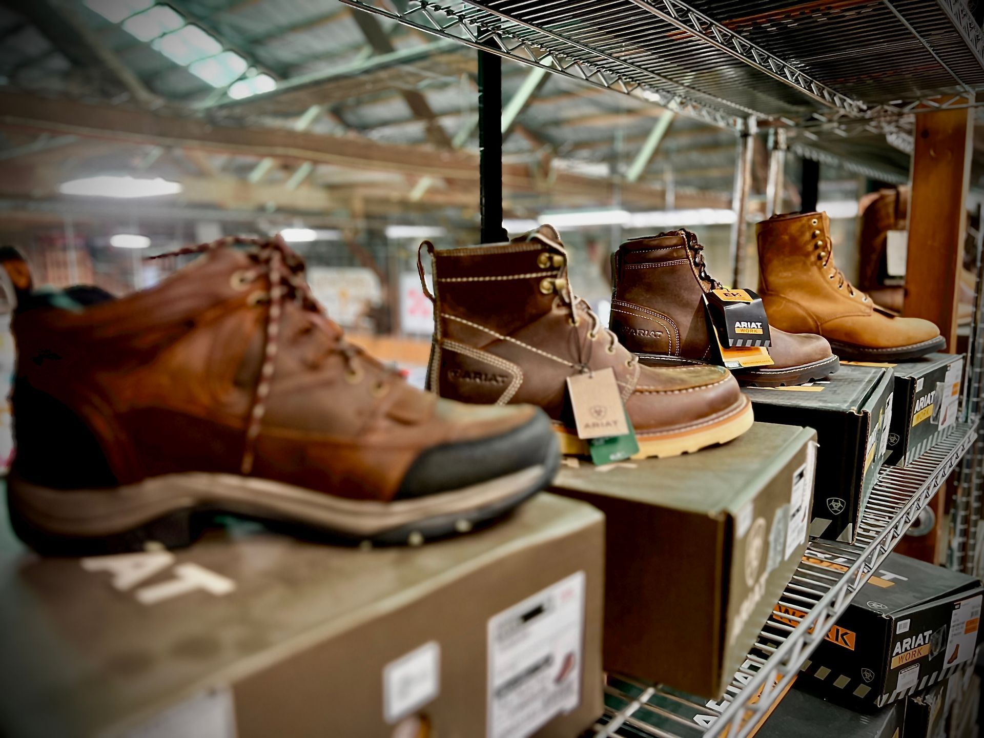 Image of Ariat work boots