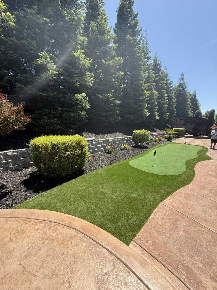 A backyard putting green with artificial grass next to a stamped concrete patio, framed by a line of tall evergreen trees.