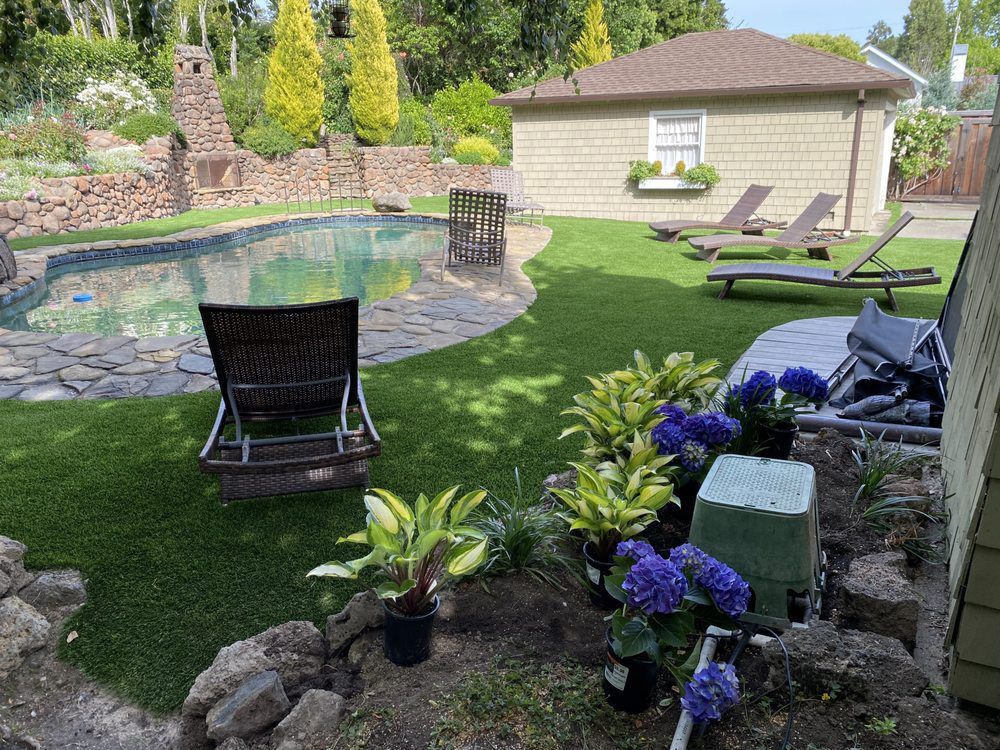 A backyard with a swimming pool, stone patio, artificial turf, lounge chairs, and potted blue hydrangea plants.