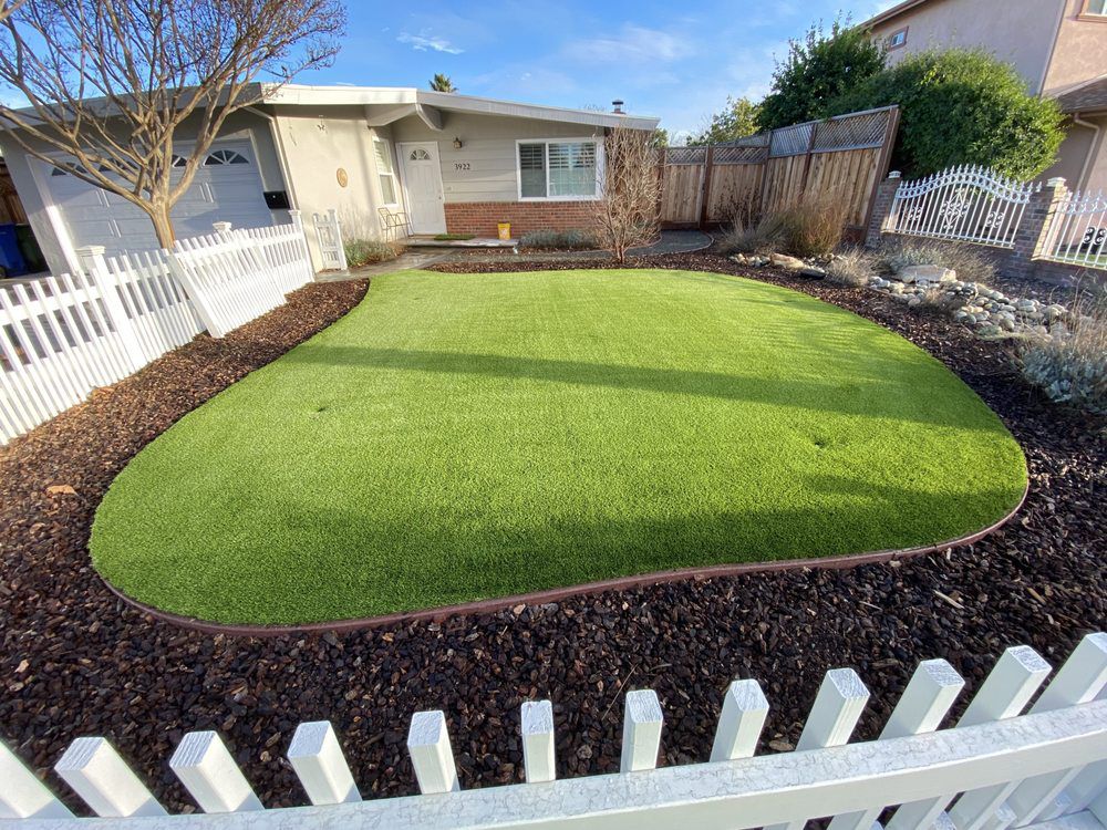 A neat patch of artificial green grass surrounded by dark brown mulch, enclosed by a white picket fence in a front yard.