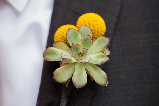 Green succulent boutonniere with yellow flowers on a black suit lapel