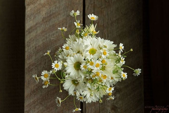 Bouquet of white daisies with small yellow flowers on a dark wooden background