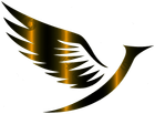 Intekneia Chemicals for the Aerospatiale an Defense Industries