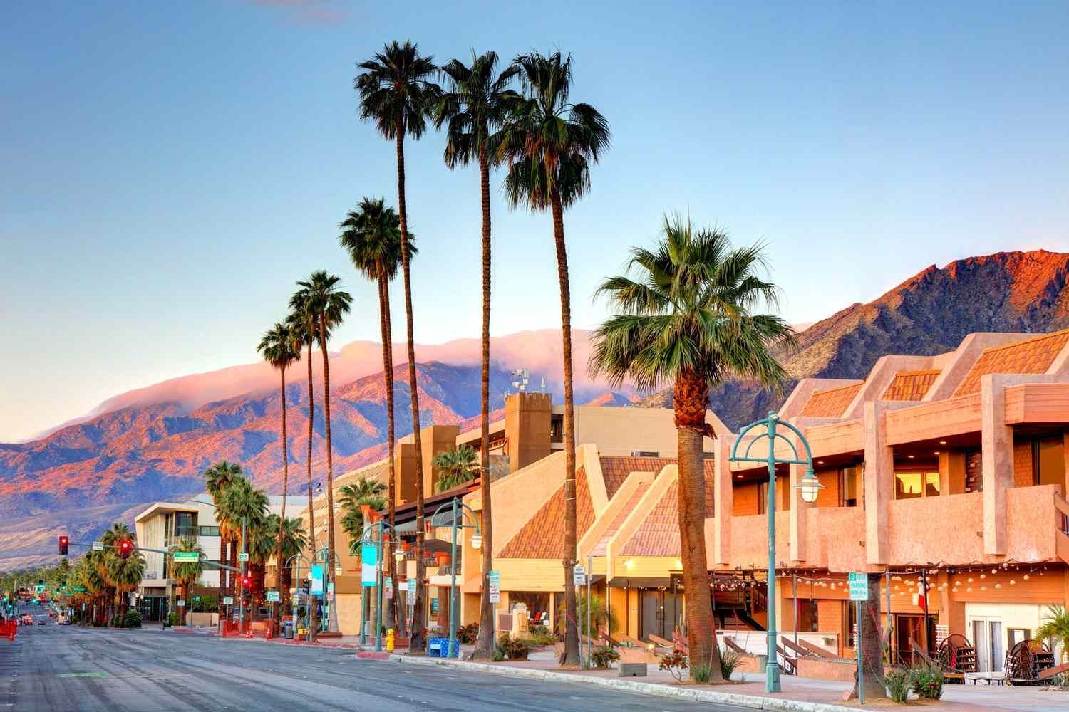 Palm-lined street with storefronts and mountains at sunset