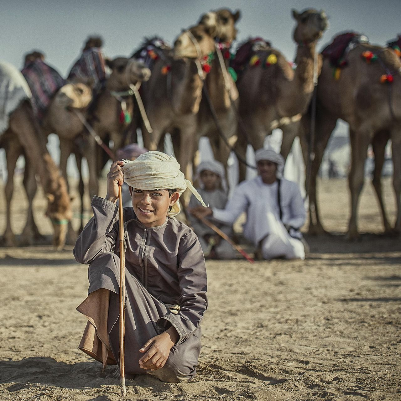 Camel race Oman