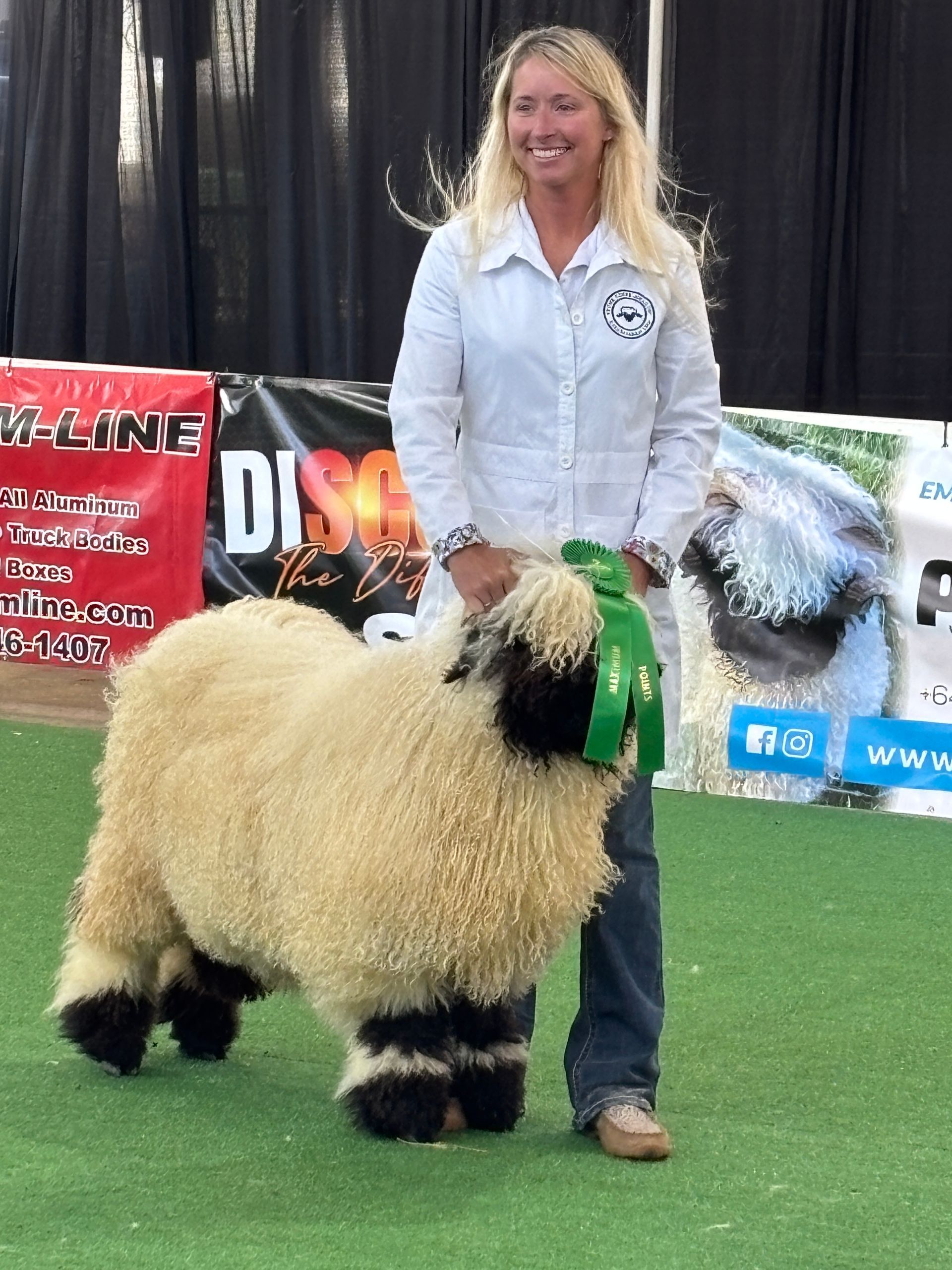 USA National Valais Blacknose Sheep Show Parkdale New Zealand Maximum points Champion Valais Blacknose ewe Champion Valais Blacknose ram