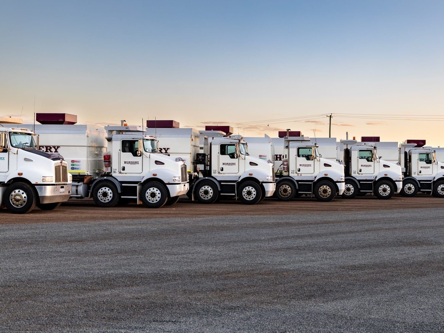 a row of semi trucks are parked in a parking lot .