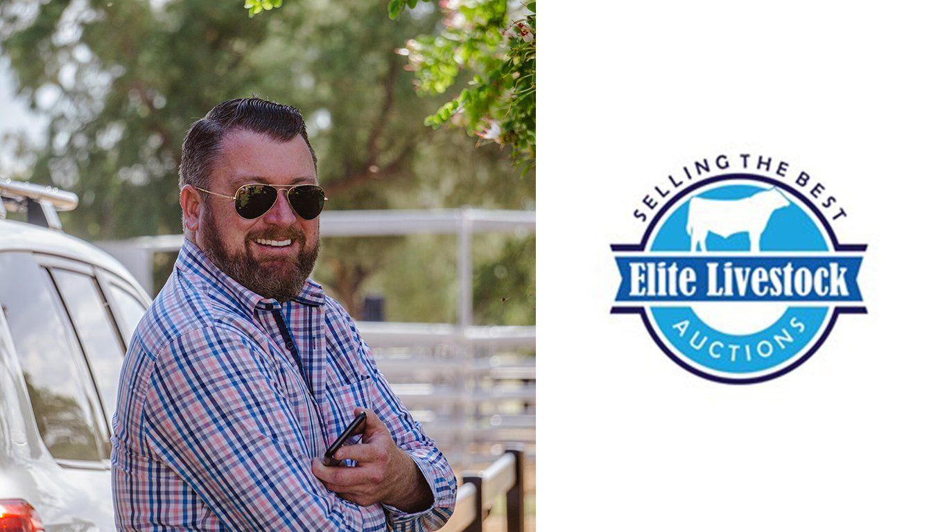 A man wearing sunglasses is standing next to a car next to a logo for elite livestock auctions