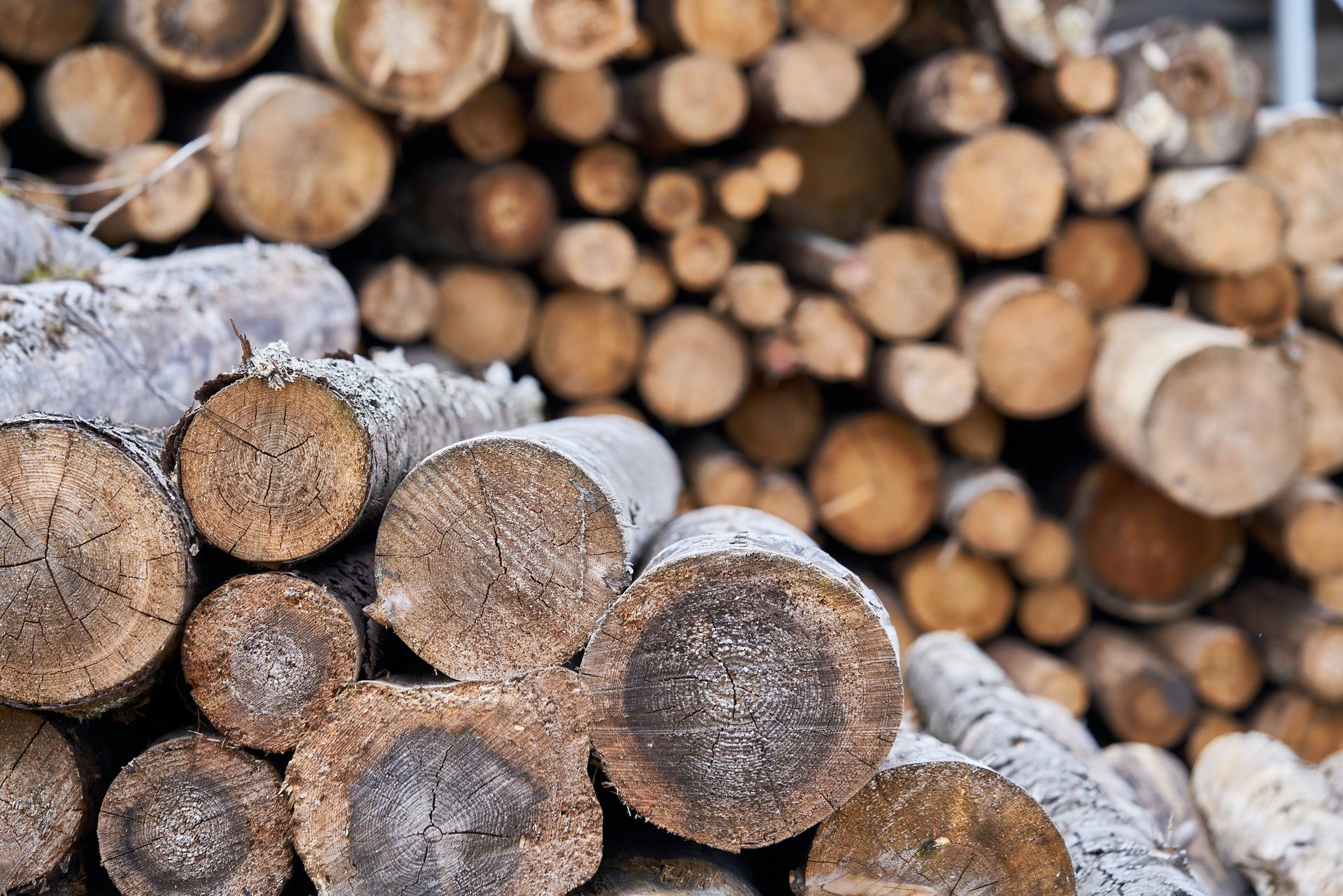 logs