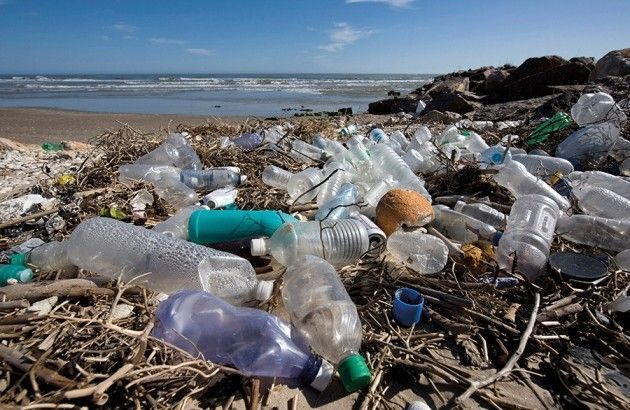 Plastic trash littering a beach shoreline under a blue sky