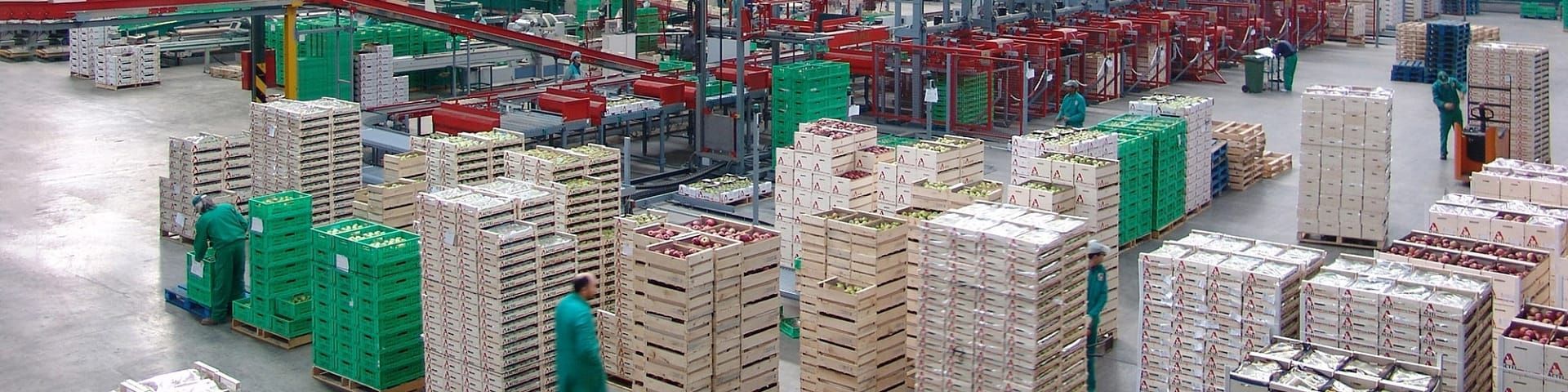 A large warehouse filled with lots of stacks of paper towels.