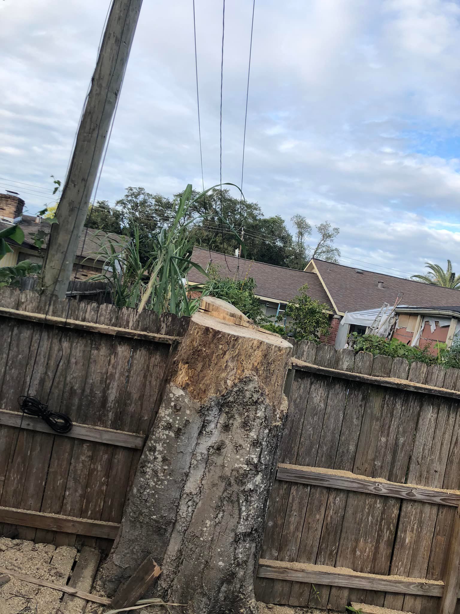 North Houston Emergency Tree Service
