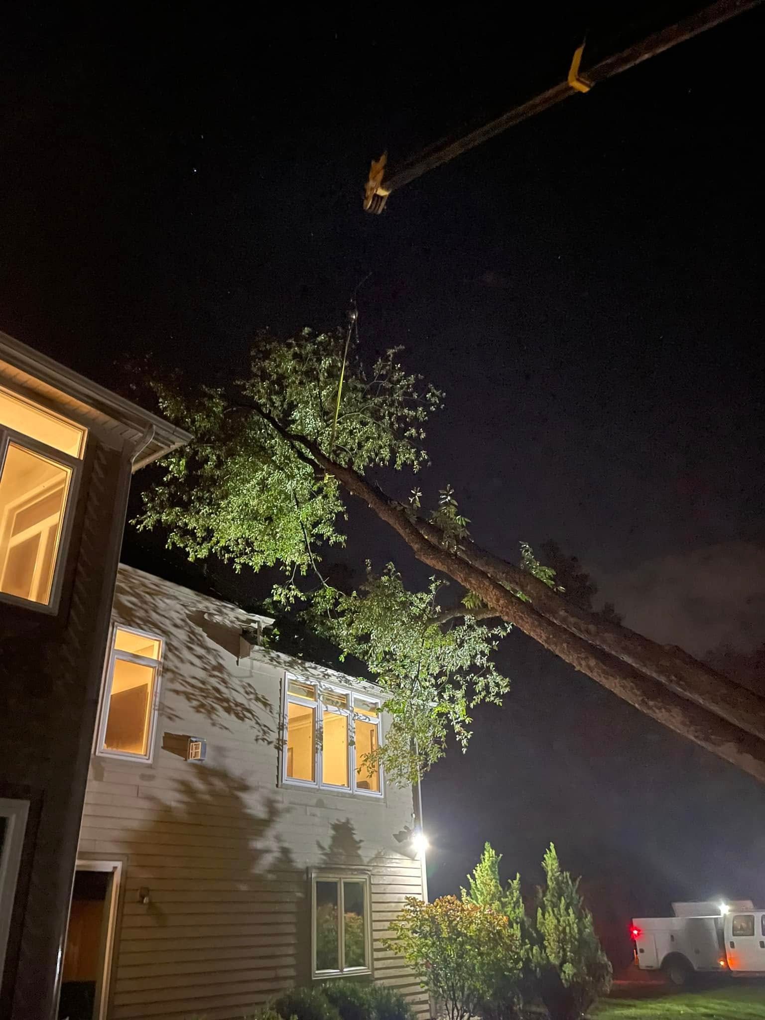 Emergency Tree Removal North Houston