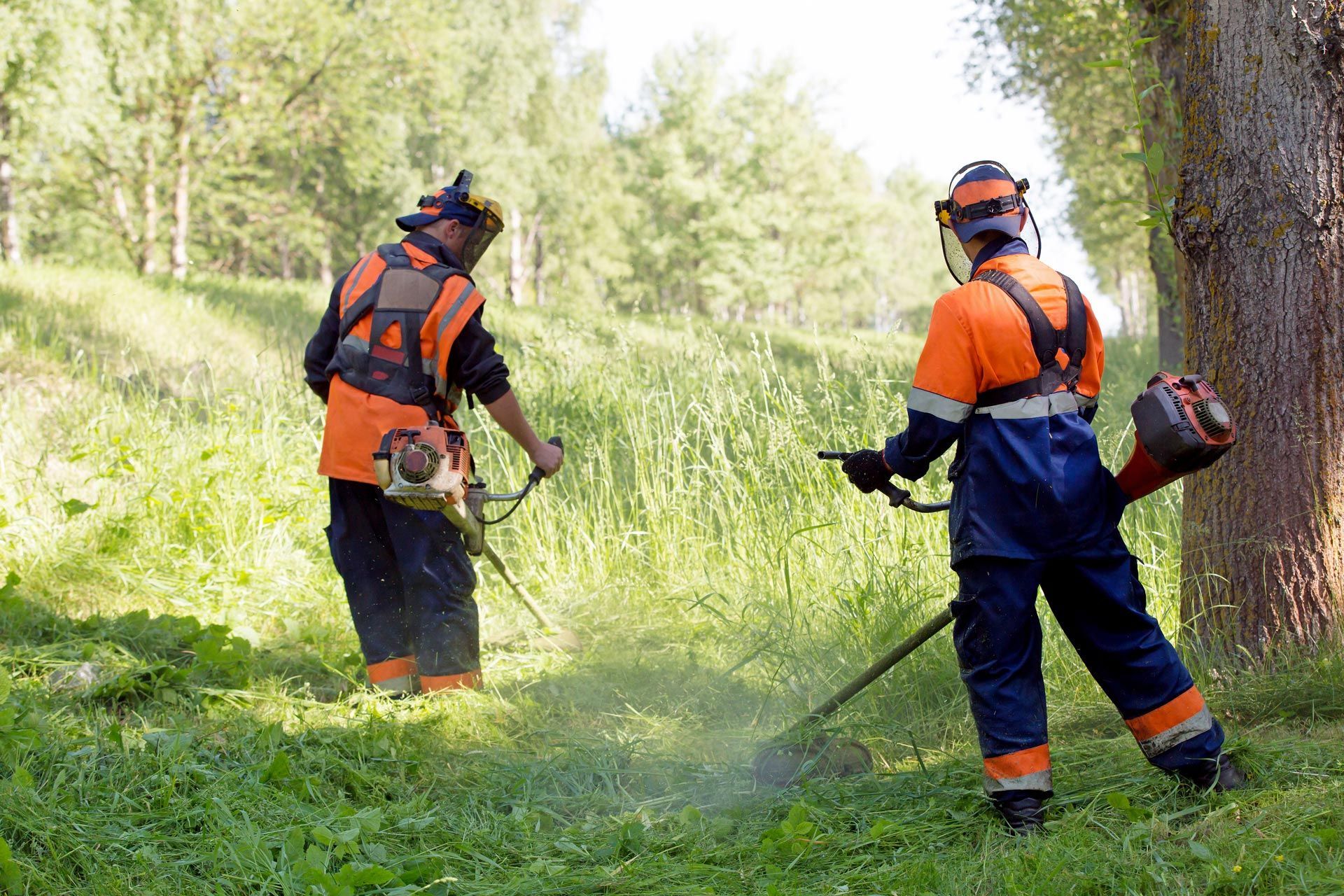 Two local landscapers in safety gear trimming tall grass along a wooded slope. Two local landscapers in safety gear trimming tall grass along a wooded slope.