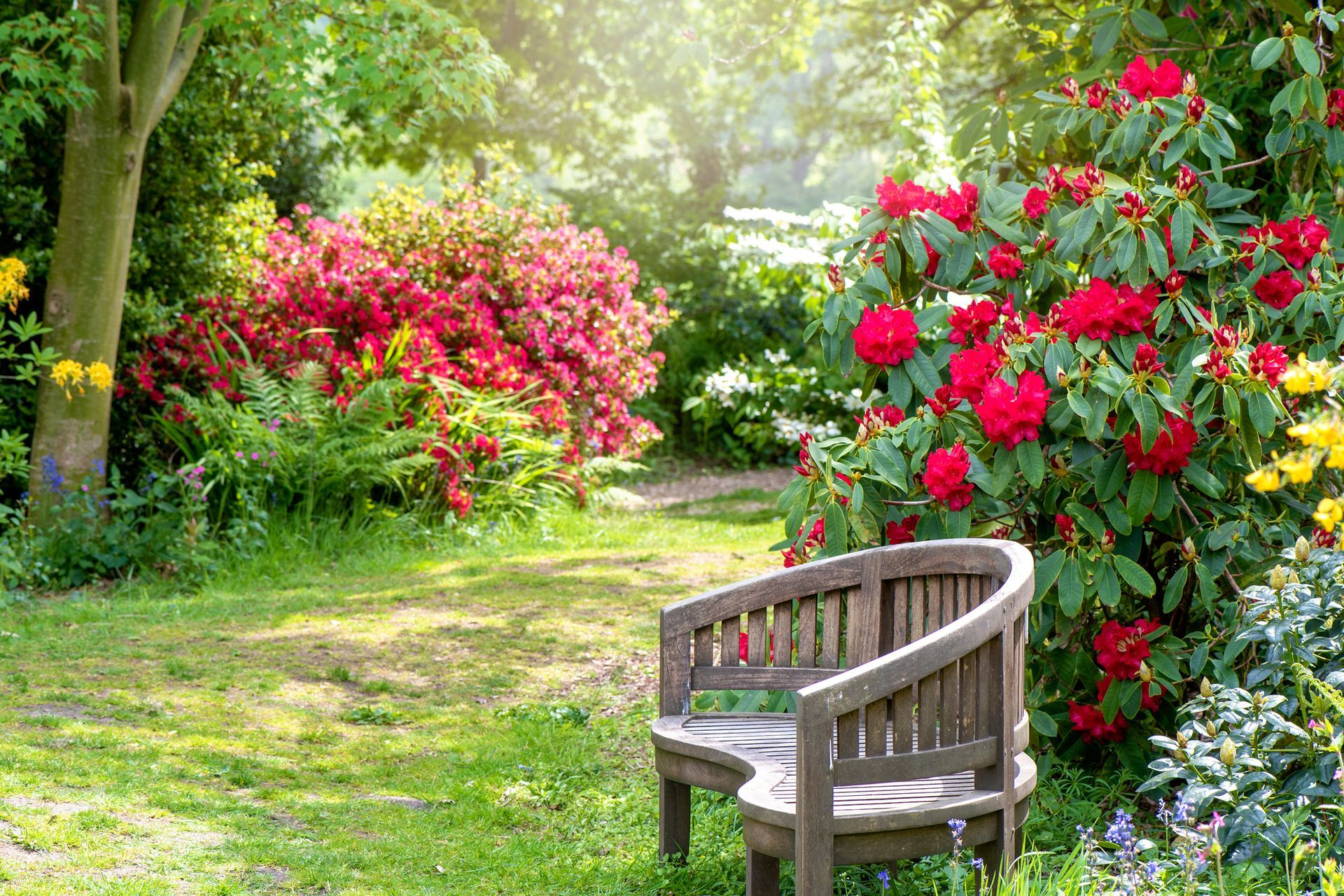 Outdoor area with a chair