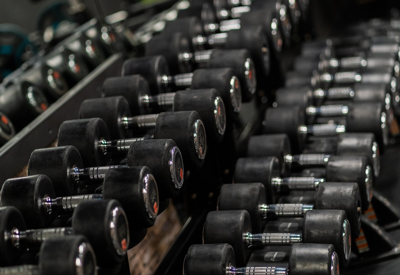 Een rij dumbbells ligt netjes op een rek in een sportschool.