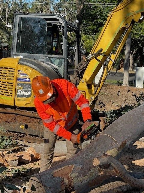 Sydney Tree cutters