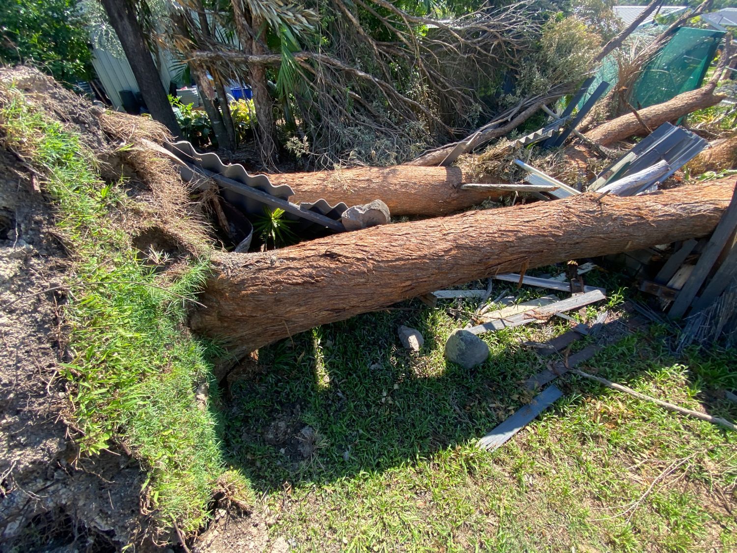 emergency tree services sydney