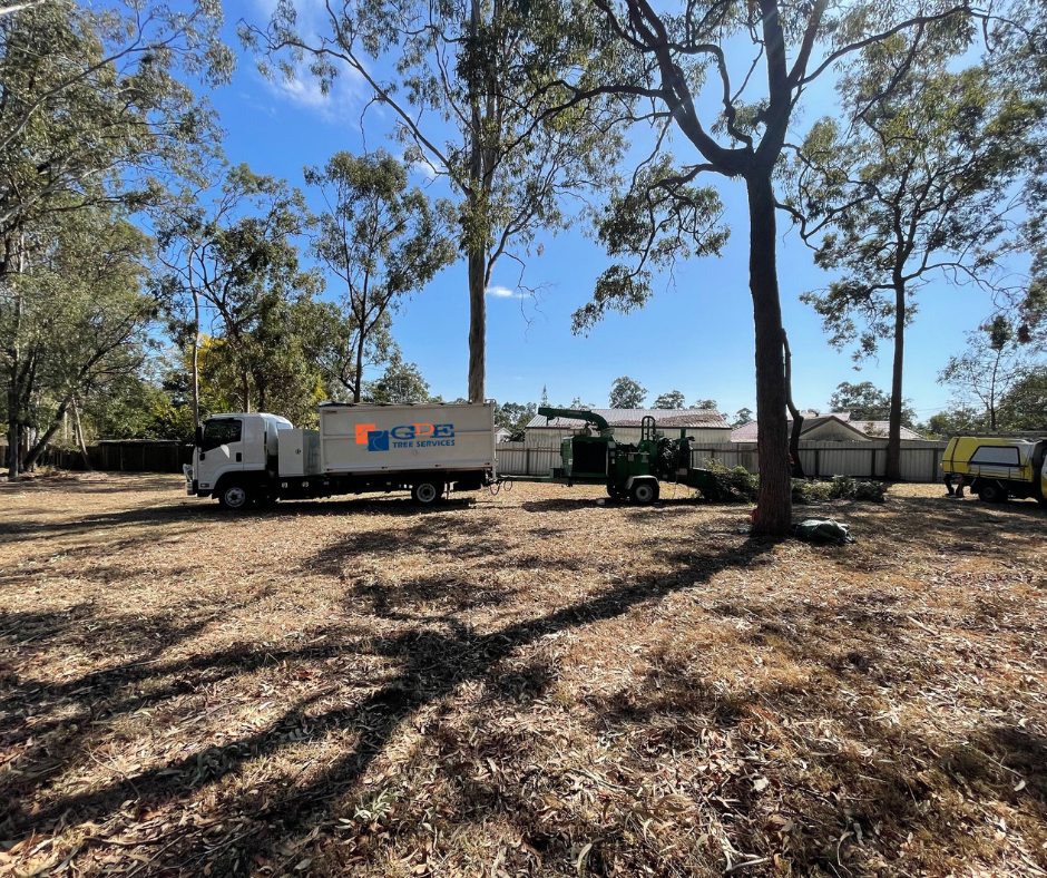 Tree Removal Liverpool by GDE Tree Services Sydney Tree Removal Liverpool