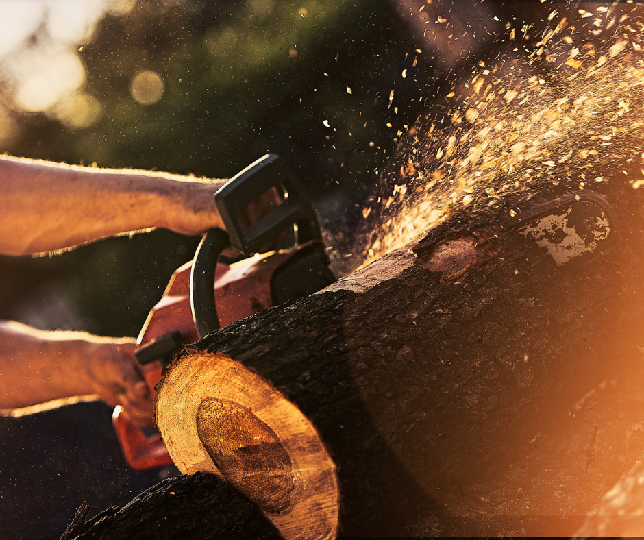 arborist oatlands