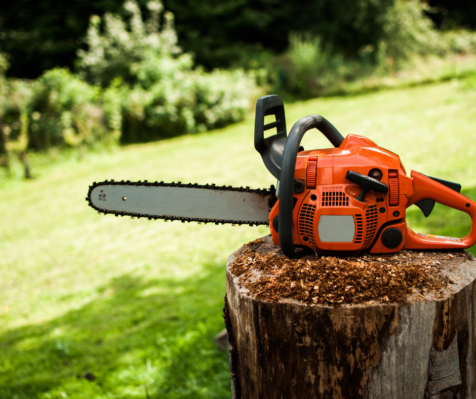 tree removal oatlands