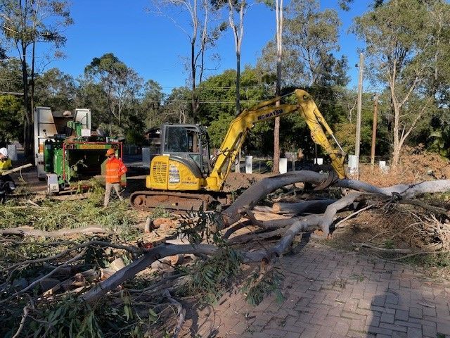 tree loppers sydney