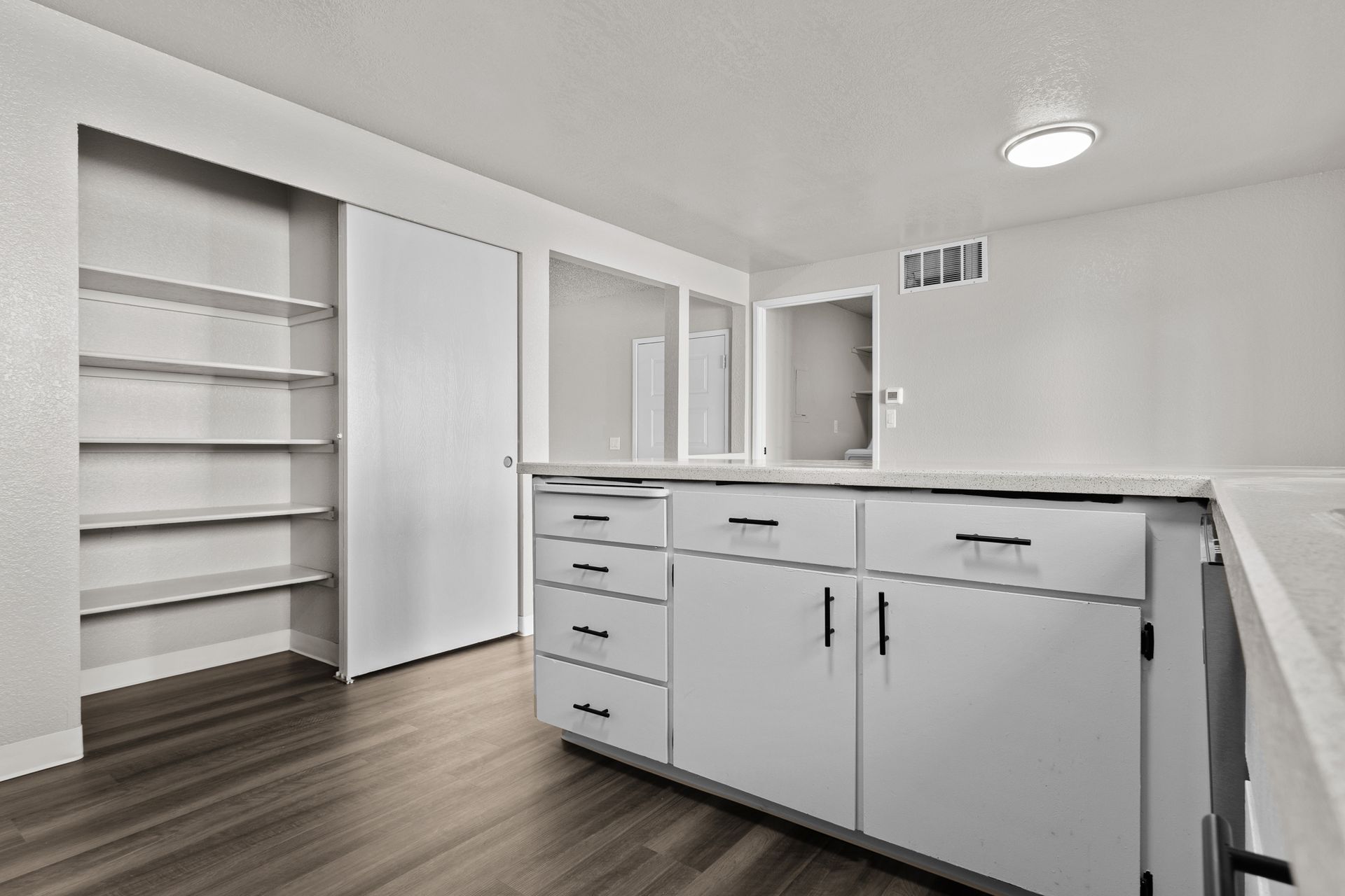 Huge chef's kitchen with large pantry and plenty of cabinet space
