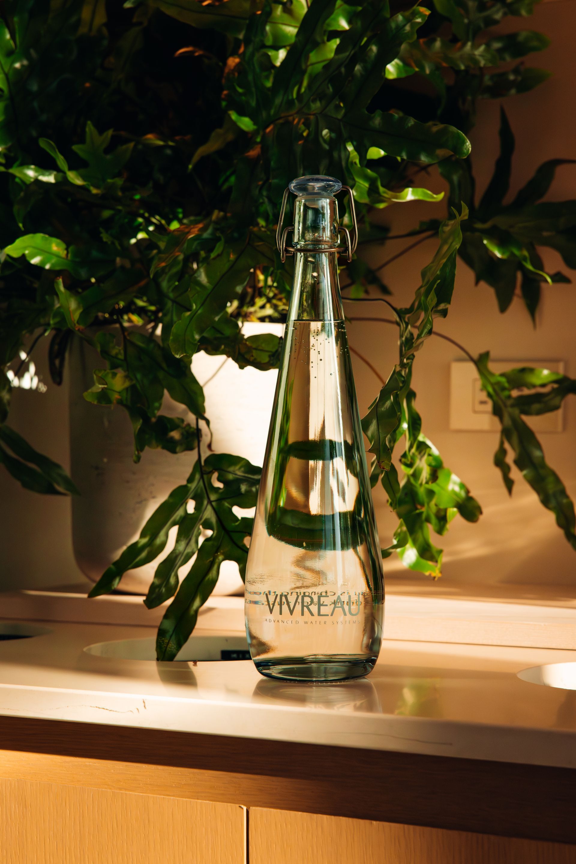 Glass bottle on a lit shelf in front of lush green plants