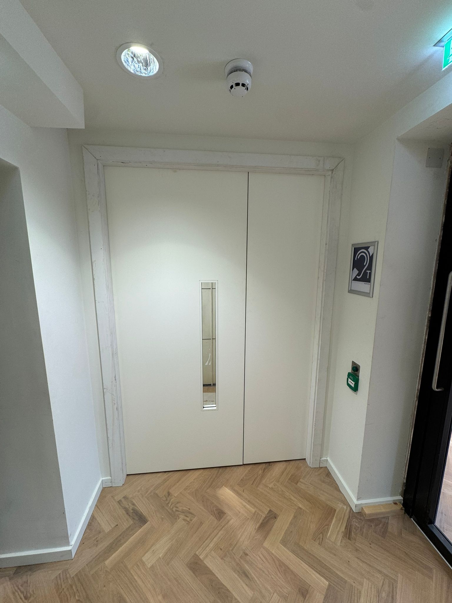 Double white doors with a rectangular window, herringbone wood floor, and a smoke detector.